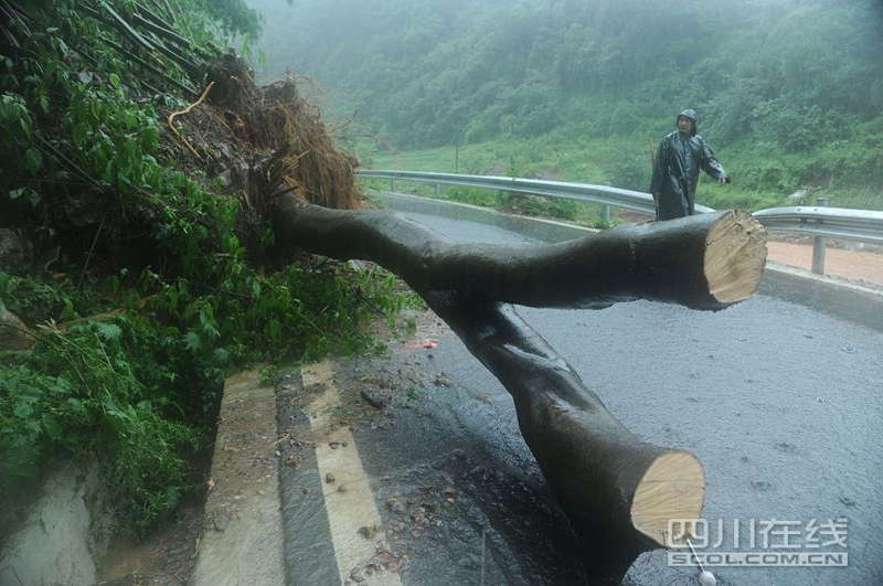 A tree blocks the way to flood-hit Zhongxin county, southwest China's Sichuan province, July 10, 2013. Rain-triggered mountain torrents and landslides buried 11 households, leaving two people dead and 21 missing. As of 9:45 p.m., 352 people stranded have been relocated to safe areas. (Photo by Fang Wei/scol.com.cn)