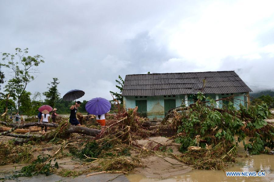 Photo taken on July 10, 2013 shows a flooded area in north Vietnamese province Ha Giang. Heavy rains and floods hit many parts of Ha Giang province this month, killing two people and causing huge damage to crops. (Xinhua/VNA)