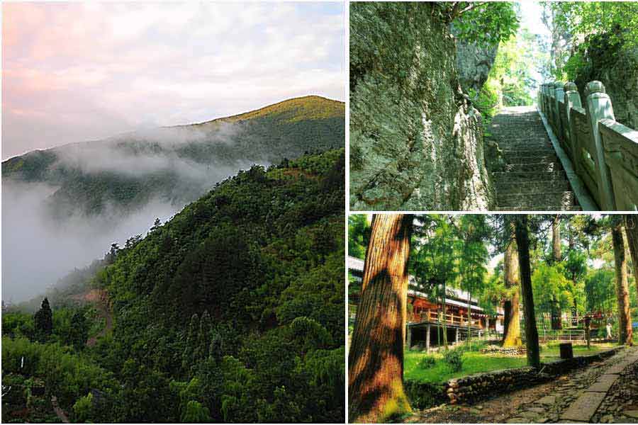 Tianmu Mountains (Photo/news.cn)