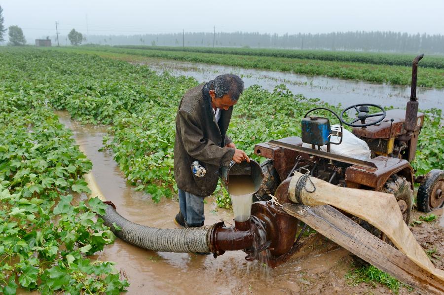 A farmer pumps water from a flooded field in Nanfengzhao Village, Xinhe County, north China's Hebei Province, July 11, 2013. Torrential rainfalls have hit the province since the beginning of July, destroying over 200,000 mu (13,333 hectares) of crops. (Xinhua/Yang Shiyao)