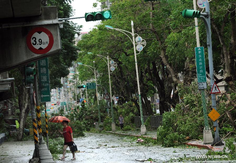 Trees are uprooted by strong wind in Taipei, southeast China's Taiwan, July 13, 2013. One person has been confirmed dead and 21 others injured as Typhoon Soulik hit the city on early Saturday morning. (Xinhua/Tao Ming) 