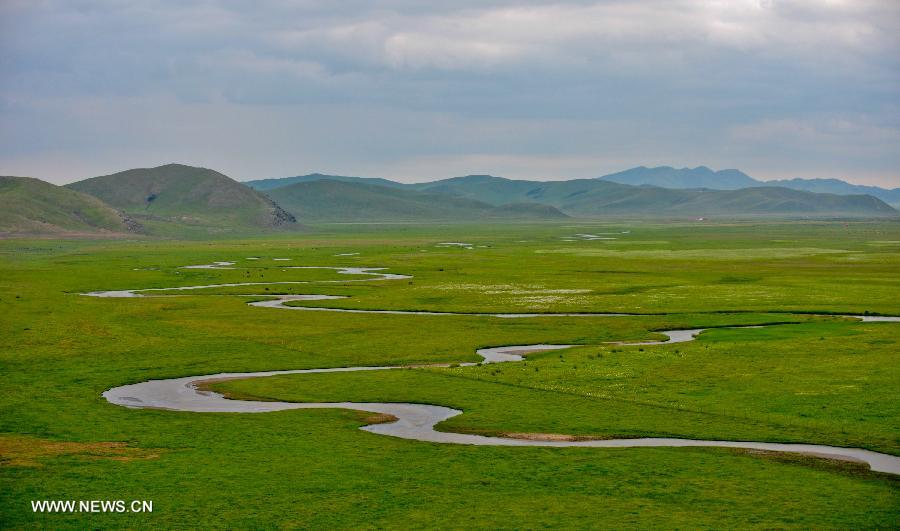 Photo taken on July 12, 2013 shows the view of local pasture in West Ujimqin Banner, north China's Inner Mongolia Autonomous Region. The pasture is part of the Xilingol, China's best preserved grassland which covers an area of 202,580 square kilometers. (Xinhua/Ren Junchuan) 