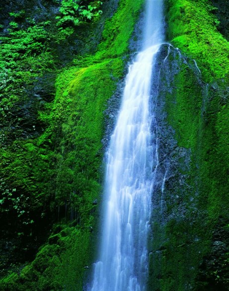 Waterfall in Olympic National Park (Source:huanqiu.com)