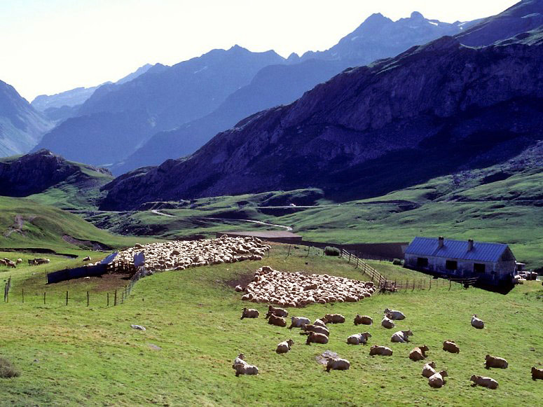 Pyreness national park (Source:huanqiu.com)