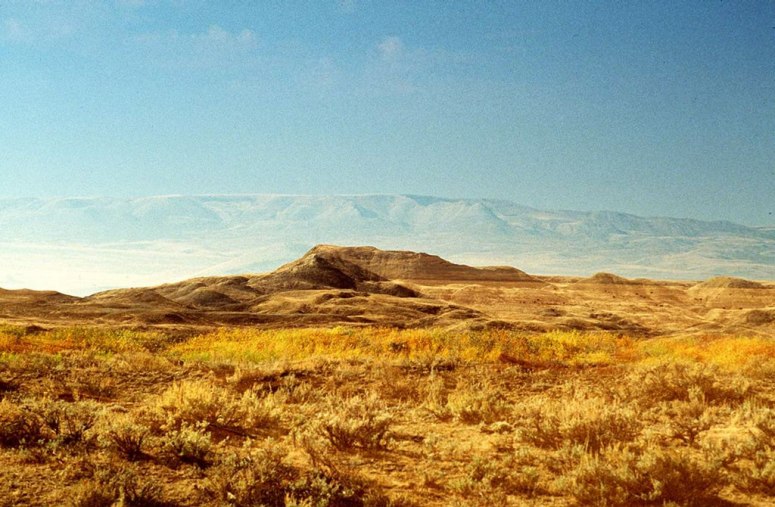 Grasslands National Park (Source:huanqiu.com)