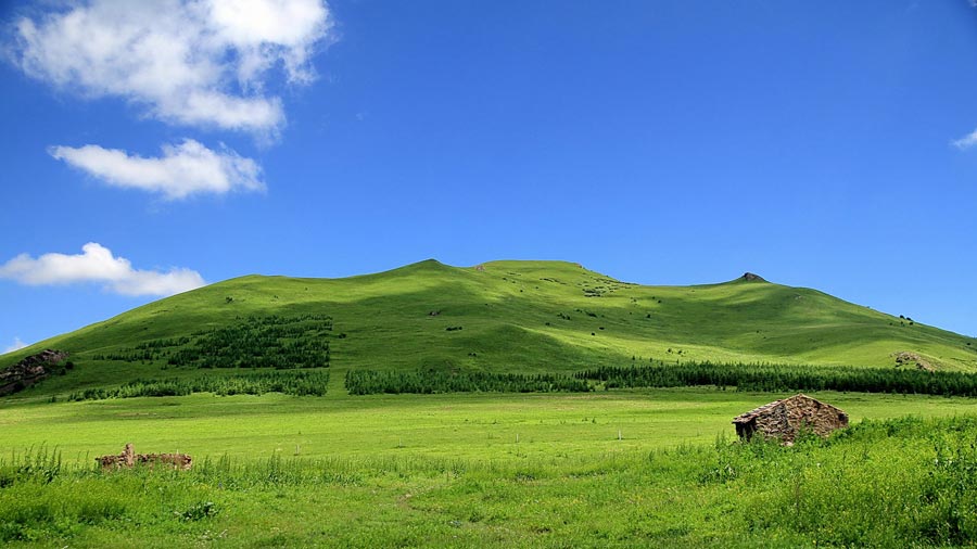 The special climate and geographical position at the junction of the North China Plain and the Inner Mongolia Grasslands give Bashang Grassland its unique natural landscapes and make it a popular destination for tourists and photographers. (China.org.cn)