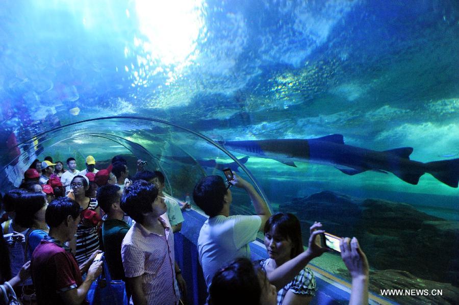 Tourists view sharks at the Underwater World in Qingdao, east China's Shandong Province, July 15, 2013. (Xinhua/Li Ziheng)