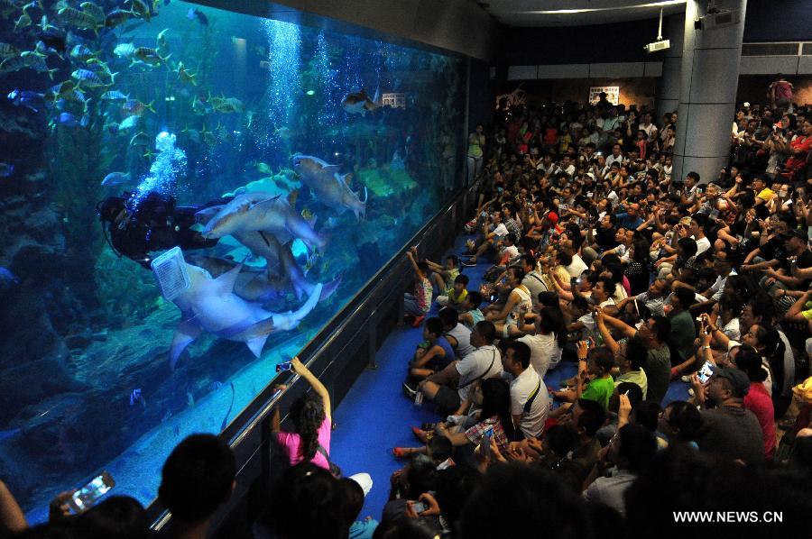 Tourists enjoy a "dancing with sharks" show at the Underwater World in Qingdao, east China's Shandong Province, July 15, 2013. (Xinhua/Li Ziheng)