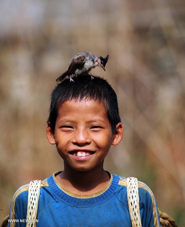 Lan Shuyang, a boy aged 10, collects the corns as a bird stands on his head in Nongyong Village of Dahua Yao Autonomous County in south China's Guangxi Zhuang Autonomous Region, July 14, 2013. Lan saved the injured bird a few months ago. (Xinhua/Huang Xiaobang)
