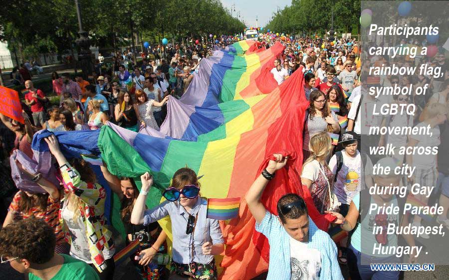 Gay Pride Parade held in Budapest, Hungary(Source:Xinhuanet.com)