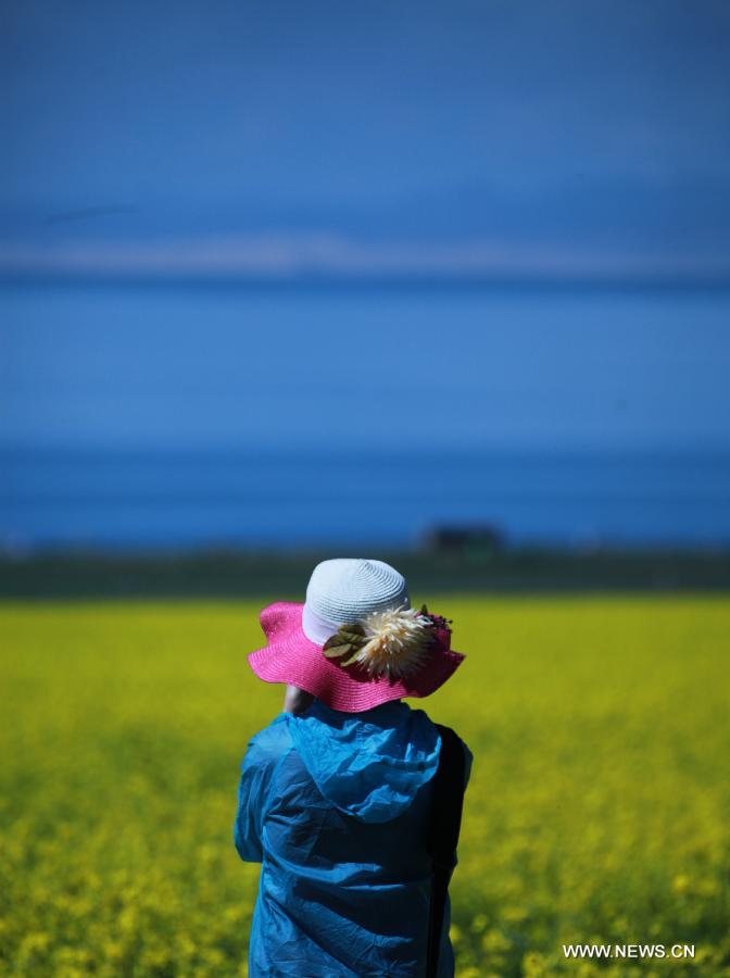A tourist enjoys the scenery beside the Qinghai Lake in northwest China's Qinghai Province, July 15, 2013. Qinghai Plateau attacts many tourists for its brisk weather in summer. (Xinhua/Yang Shoude)