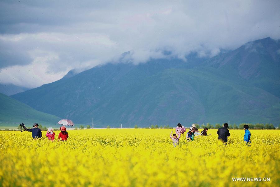 Tourists enjoy the scenery of rape flowers in Menyuan Hui Autonomous County in northwest China's Qinghai Province, July 17, 2013. Qinghai Plateau attacts many tourists for its brisk weather in summer. (Xinhua/Yang Shoude)
