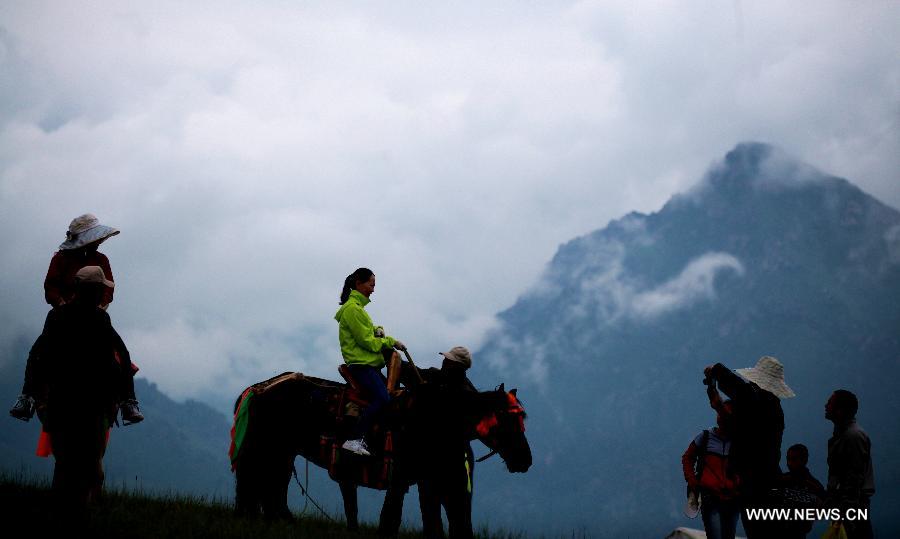 Tourists ride horses at Zhuo'er Mountain in Qilian County, northwest China's Qinghai Province, July 16, 2013. The tourist attraction witnessed a travel peak in July with its snow mountains and blossoming rape flowers. (Xinhua/Yang Shoude)