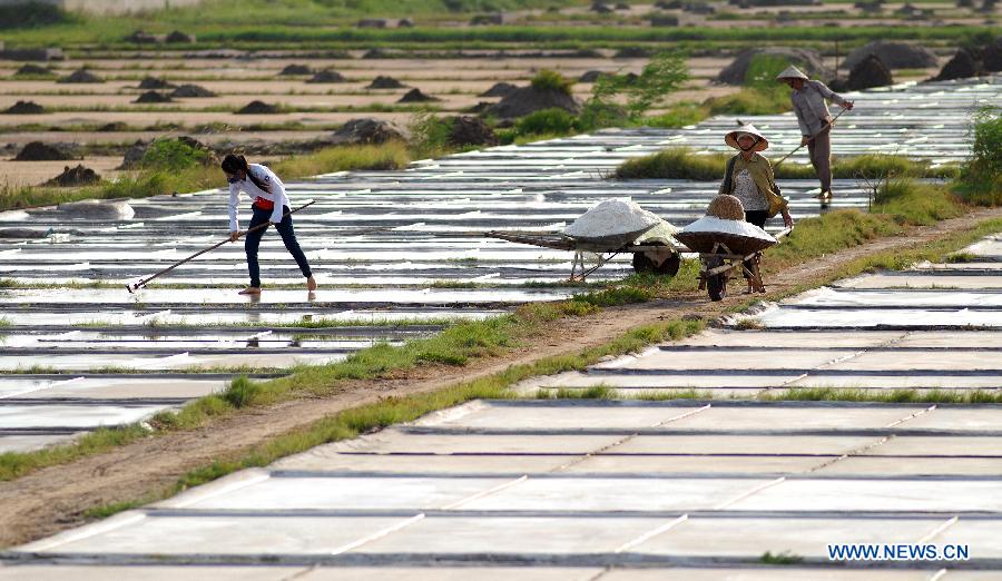 Workers carry salt to storage in north Vietnam's Nam Dinh province, July 19, 2013. Vietnam's salt production is expected to reach one million tons in 2013, a year-on-year increase of 18 percent, according to the Ministry of Agriculture and Rural Development. (Xinhua/VNA)