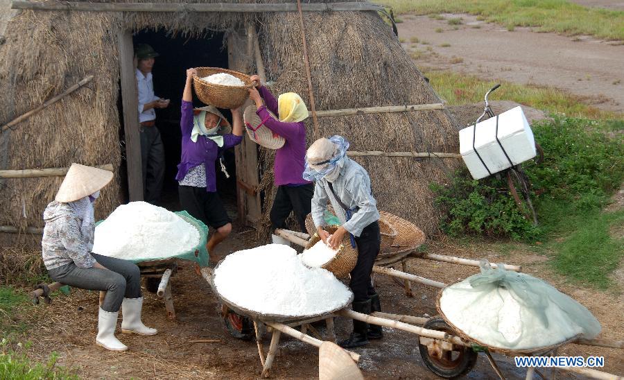 Workers carry salt to storage in north Vietnam's Nam Dinh province, July 19, 2013. Vietnam's salt production is expected to reach one million tons in 2013, a year-on-year increase of 18 percent, according to the Ministry of Agriculture and Rural Development. (Xinhua/VNA)