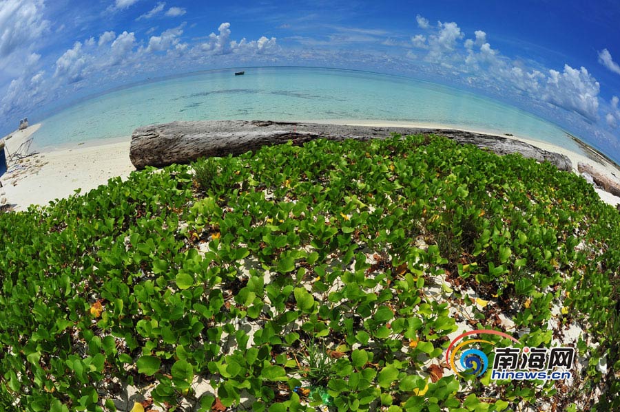 Beautiful scenery on Yinyu island of Sansha City (Source: hinews.com/Li Qingfang)