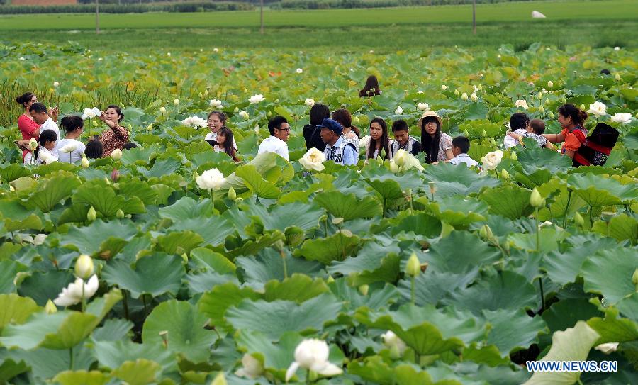 Tourists view lotus flowers at the Puzhehei scenic area in Qiubei County, southwest China's Yunnan Province, July 19, 2013. Known as "the unique pastoral scenery in China", the beauty spot attracts a large number of tourists with 380 mountain peaks, 83 karst caves, 54 lakes and 2,667 hectares of wetlands. (Xinhua/Yang Zongyou)