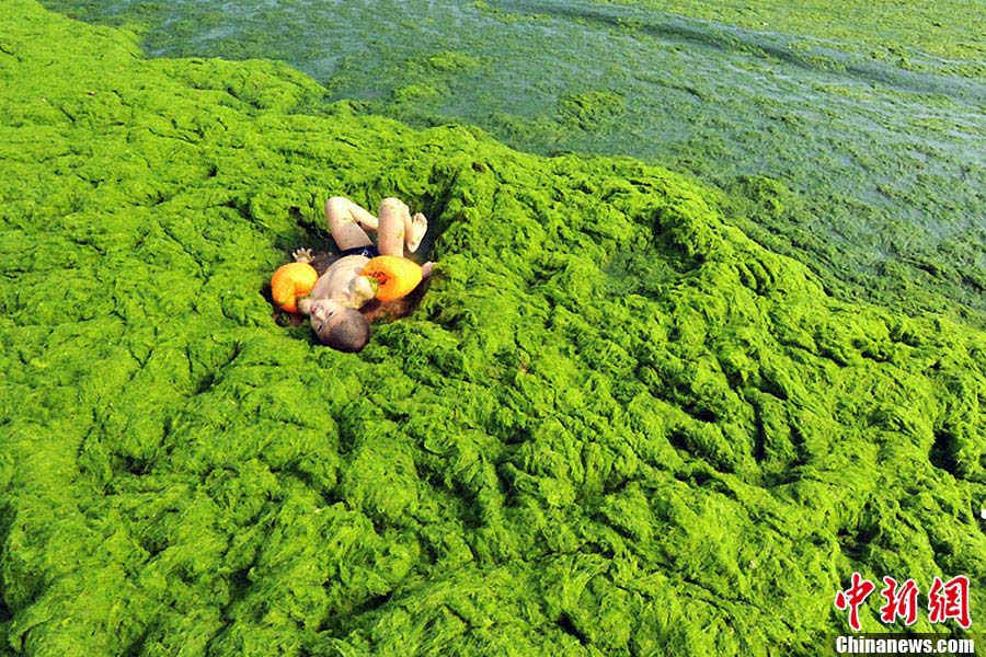 A boy lies down on the green-algae-covered beach in Qingdao, east China's Shandong province, July 18, 2013. (CNS/Xue Hun)