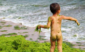 Have fun with green algae in Qingdao