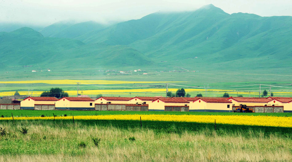 Photo taken on July 13, 2013 shows the summer scenery in Heka town, Xinghai county, northwest China's Qinghai province. (Xinhua/Hou Deqiang)