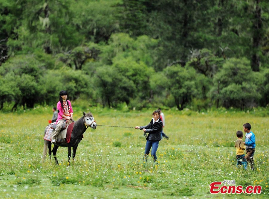 Wuxuhai Lake Scenic Resort, as an important part of Mount Gongga, is located in Jiulong County of Ganzi Tibetan Autonomous Prefecture, Southwest China's Sichuan Province with an altitude of 3760 meters. "Wuxuhai" means a blazing and sunny lake in the Tibetan language. Photo shows visitors have fun at the Wuxuhai Lake Scenic Resort. (Photo/Gao Xiuqing)