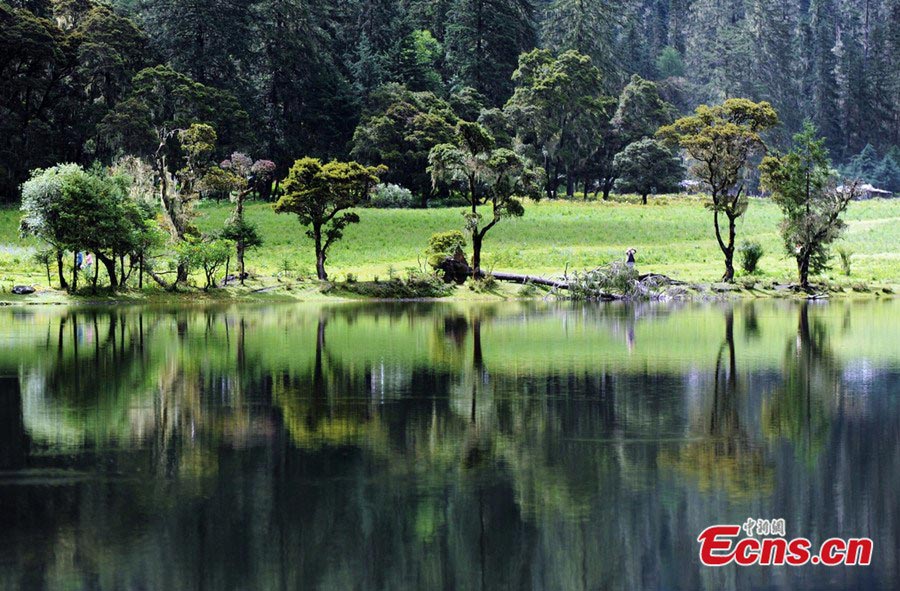 Wuxuhai Lake Scenic Resort, as an important part of Mount Gongga, is located in Jiulong County of Ganzi Tibetan Autonomous Prefecture, Southwest China's Sichuan Province with an altitude of 3760 meters. "Wuxuhai" means a blazing and sunny lake in the Tibetan language. (Photo/Gao Xiuqing)