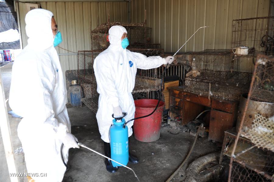 Epidemic prevention workers disinfect a live poultry market in Langfang, north China's Hebei Province, July 23, 2013. Live poultry markets in Langfang were all closed from July 21 as a 61-year-old woman from the city has been confirmed positive of the deadly H7N9 bird flu strain, who often bought vegetables from a local farm product market near her home where live poultry are sold. (Xinhua/Mou Yu) 