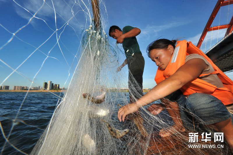 Yi Guojun and his wife Chen Yan haul the net and harvest the fish at the stern on the boat. (Photo by Long Hongtao/ Xinhua)