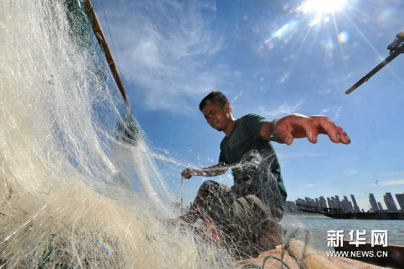 Yi Guojun clears up the net and prepares for the second throwing of the net. (Photo by Long Hongtao/ Xinhua)