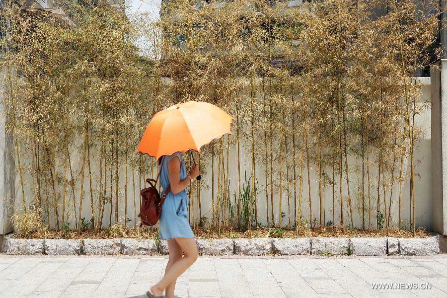 A girl walks past bamboos withered due to the high temperature in Hangzhou, capital of east China's Zhejiang Province, July 28, 2013. Hangzhou has experienced the temperature of over 40 degrees Celsius since July 24. (Xinhua/Li Zhong)