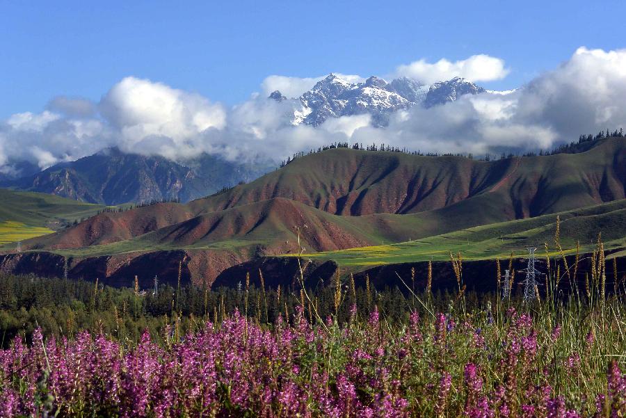 Photo taken on July 28, 2013 shows the scenery around the Qilian Mountains in Qilian County, northwest China's Qinghai Province. The scenic spot attracted many tourists with its snow mountains and blossoming flowers. (Xinhua/Wang Song)