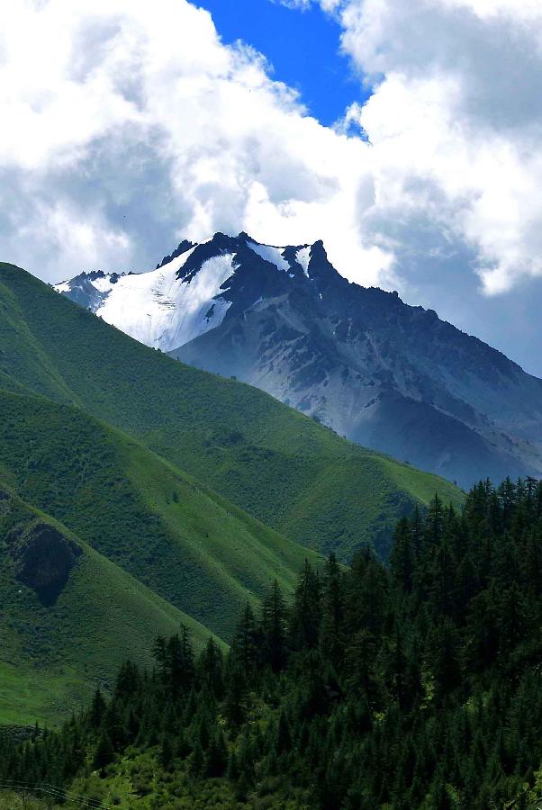 Photo taken on July 27, 2013 shows the scenery of the Qilian Mountains in Sunan County, northwest China's Gansu Province. The scenic spot attracted many tourists with its snow mountains and blossoming flowers. (Xinhua/Wang Song) 