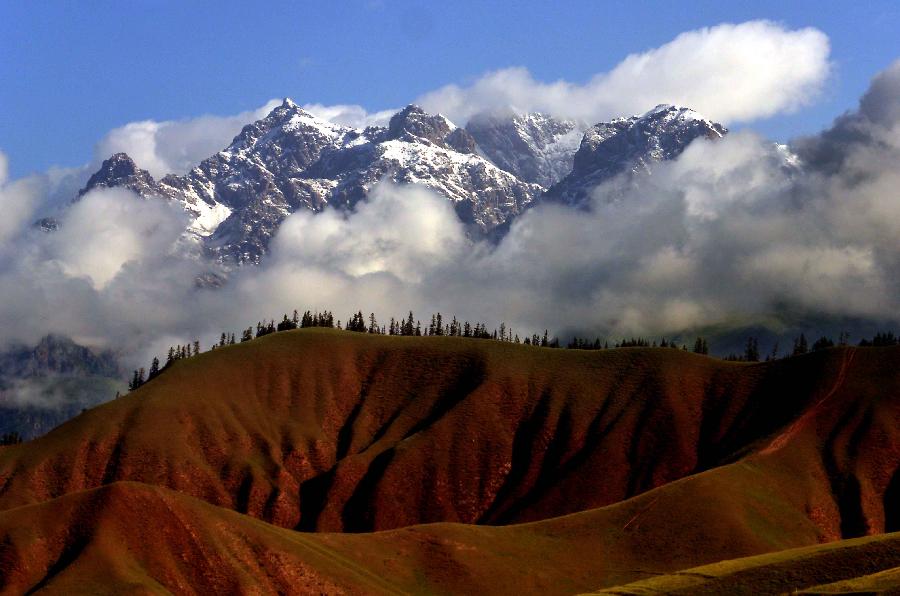 Photo taken on July 28, 2013 shows the scenery of snow mountains in Qilian County, northwest China's Qinghai Province. The scenic spot attracted many tourists with its snow mountains and blossoming flowers. (Xinhua/Wang Song)