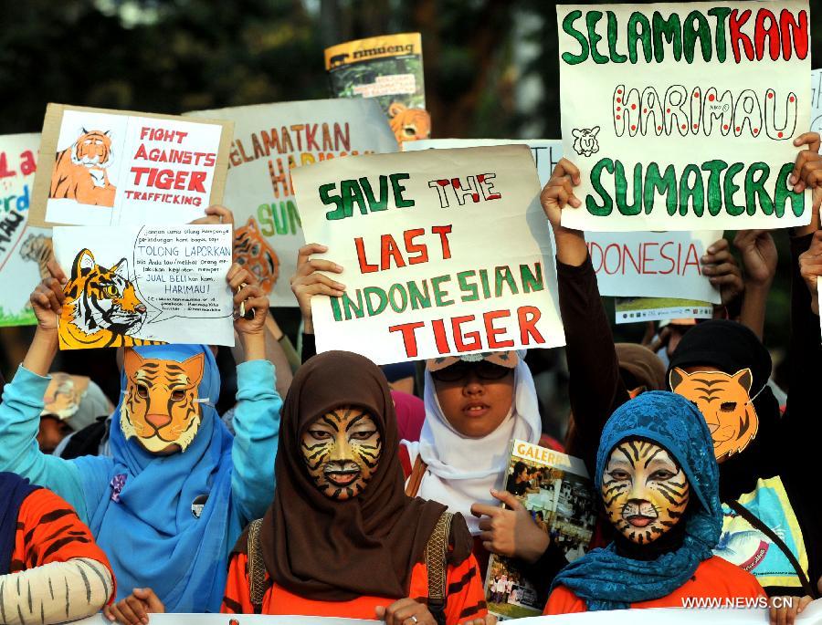 Volunteers attend an activity marking the Global Tiger Day 2013 in Jakarta, Indonesia, July 29, 2013. The Global Tiger Day aims to promote the protection of the habitat of Sumatran tigers and increase awareness of tiger conservation in Indonesia. (Xinhua/Agung Kuncahya B.)