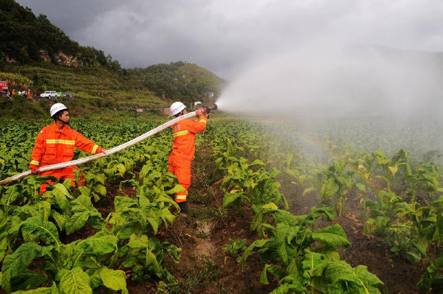 Fire fighters help water vegetables for people living in drought areas in Pingjie Township, Zhenfeng County of southwest China's Guizhou Province, July 29, 2013. Due to little rainfall and high temperature, 38 counties in Guizhou Province faced with serious drought in recent days. (Xinhua/Liu Yongsong)