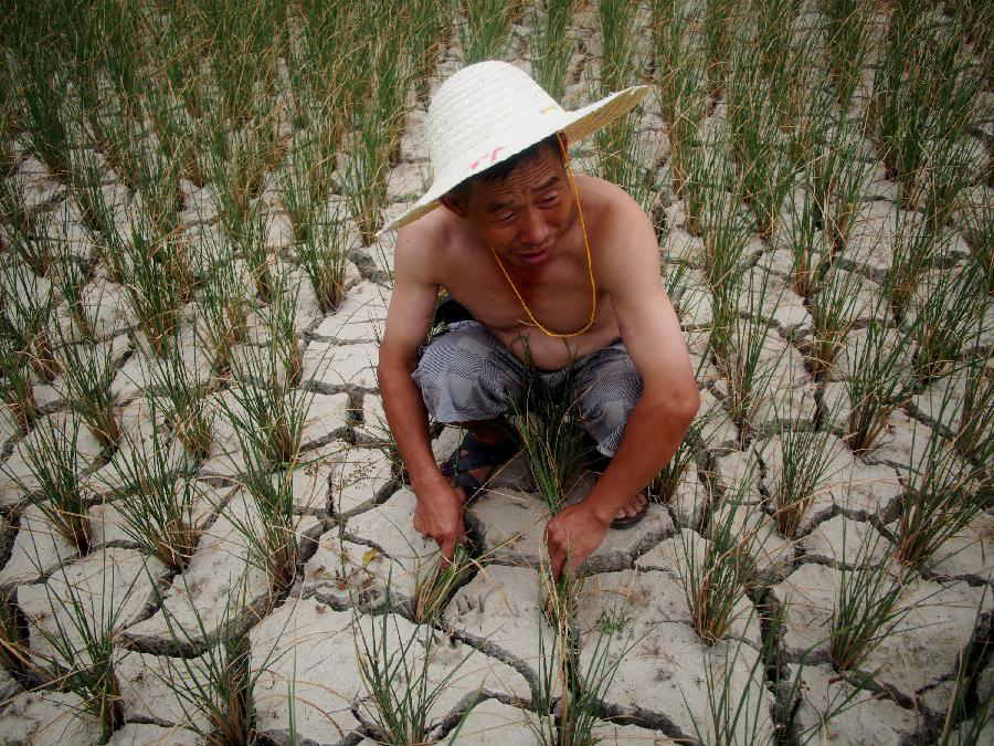 A farmer squats by a cracked farmland in Shangzhai Village of Xiuwen County, southwest China's Guizhou Province, July 31, 2013. Lingering droughts in Guizhou have affected more than 12 million people. Over 2 million people lack adequate supplies of drinking water, and a total of 847,300 hectares of farmland is damaged by the drought. (Xinhua/Liu Xu) 