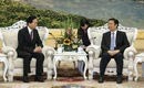 Chinese VP meets former Japanese PM