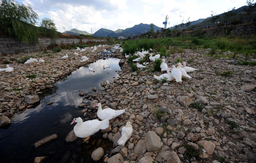 Photo taken on Aug. 13, 2013 shows a river which used to be full of river water in Liangnong Town of Yuyao, east China's Zhejiang Province. High temperatures and scarce rainfall which have lasted over 40 days resulted in severe damage of agriculture and shortage of drinking water for over 417,000 people in Zhejiang. The heat is expected to continue in the following days, according to the local meteorological authority. (Xinhua/Wang Dingchang)