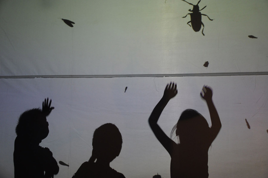 Children play in a light installation at the Switch on Beijing International Light Festival in Ditian Park on Saturday. The light festival, held on Aug 17-18, brought together representatives of all fields of the creative industry to showcase light design projects on topics ranging from environmental protection to childhood leisure. [Photo by Uking Sun/chinadaily.com.cn]