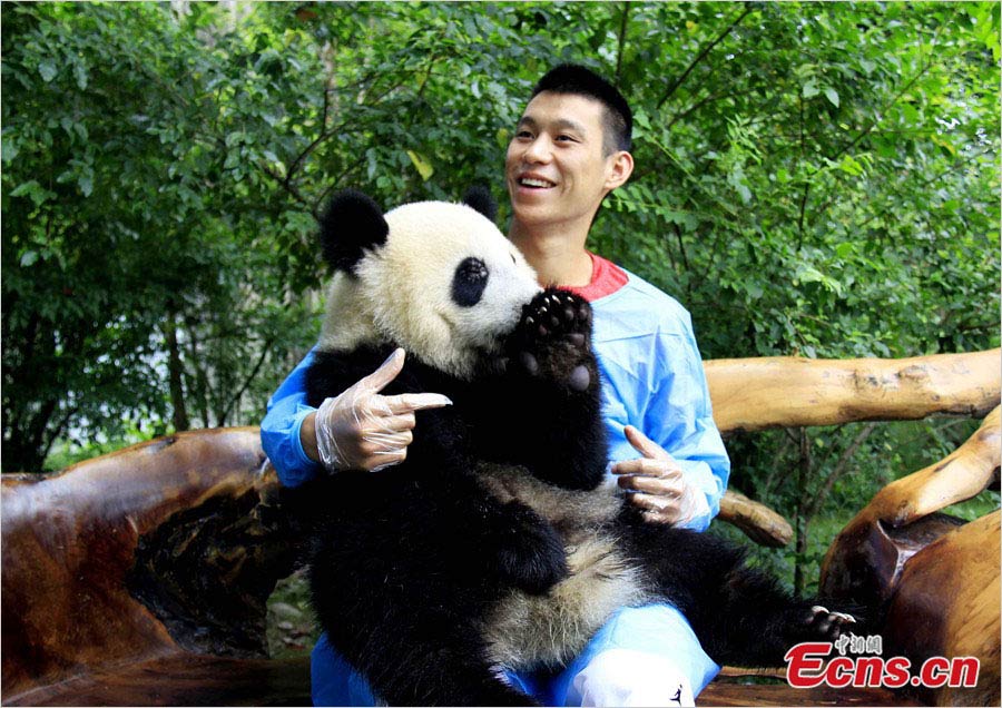 NBA Star Jeremy Lin visits the Chengdu Research Base of Giant Panda Breeding in southwest China's Sichuan province on August 29, 2013. [Photo: Chinanews.cn]  