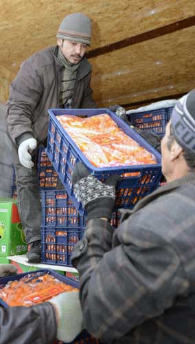 Workers load oranges to be exported to Kazakhstan in Khorgos, the Xinjiang Uygur autonomous region. Zhao Ge / Xinhua 