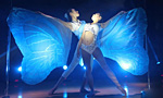 China's national pole dancing to play 'The Butterfly Love' 