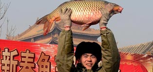 Fishing festival marked at Longting Lake in Henan
