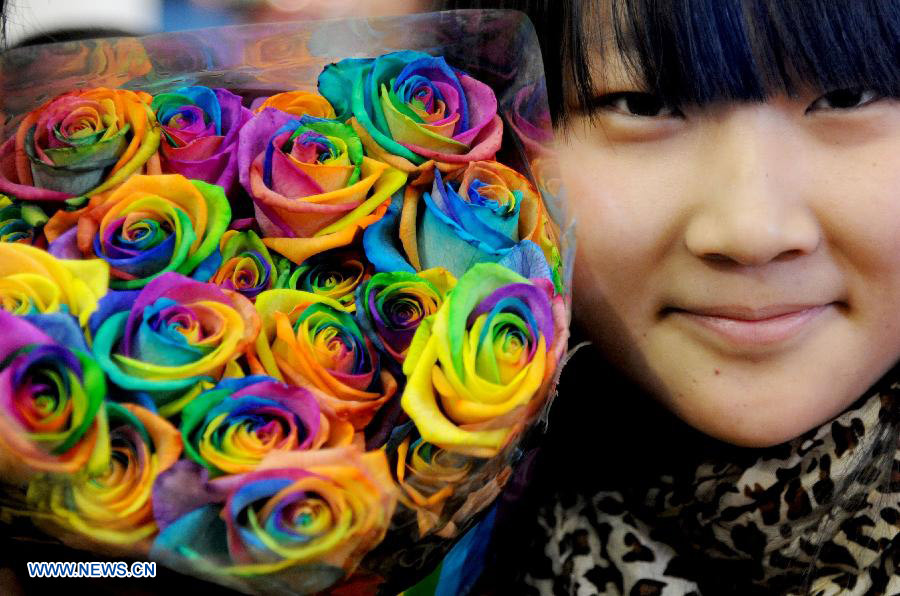 A consumer shows a bouquet of seven-color roses in Shenyang, capital of northeast China's Liaoning Province, Feb. 10, 2014. As the Valentine's Day approaches, various commodities for lovers are welcomed among consumers. (Xinhua/Zhang Wenkui)