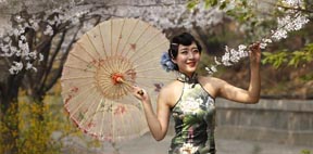 Cherry blossoms in E China's Shandong