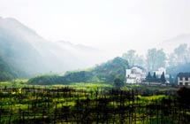 Travel destinations for early spring: Wuyuan County