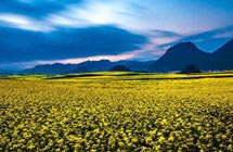 Stunning spring views in Yunnan