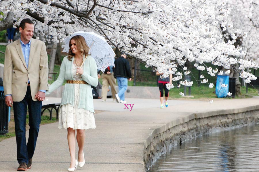 Cherry blossoms reach peak bloom in Washington D.C.