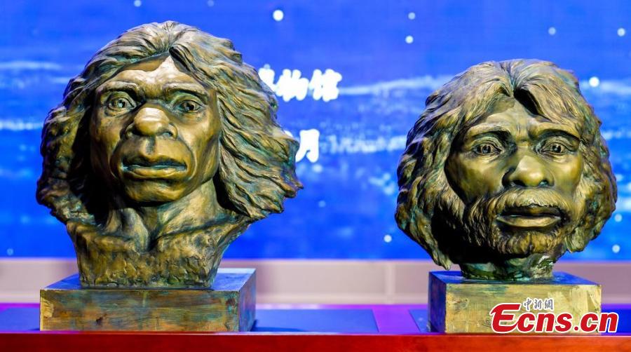 Hubei researchers restore human appearance 1 million years ago