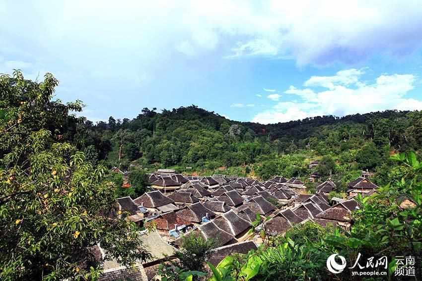 景迈山古茶林中的少数民族传统村落。普洱市委宣传部供图